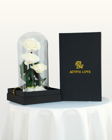Forever Roses White