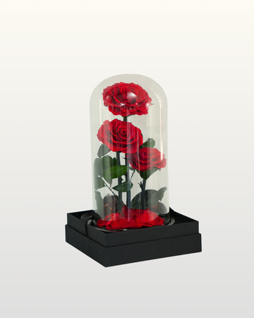 Forever Roses Red