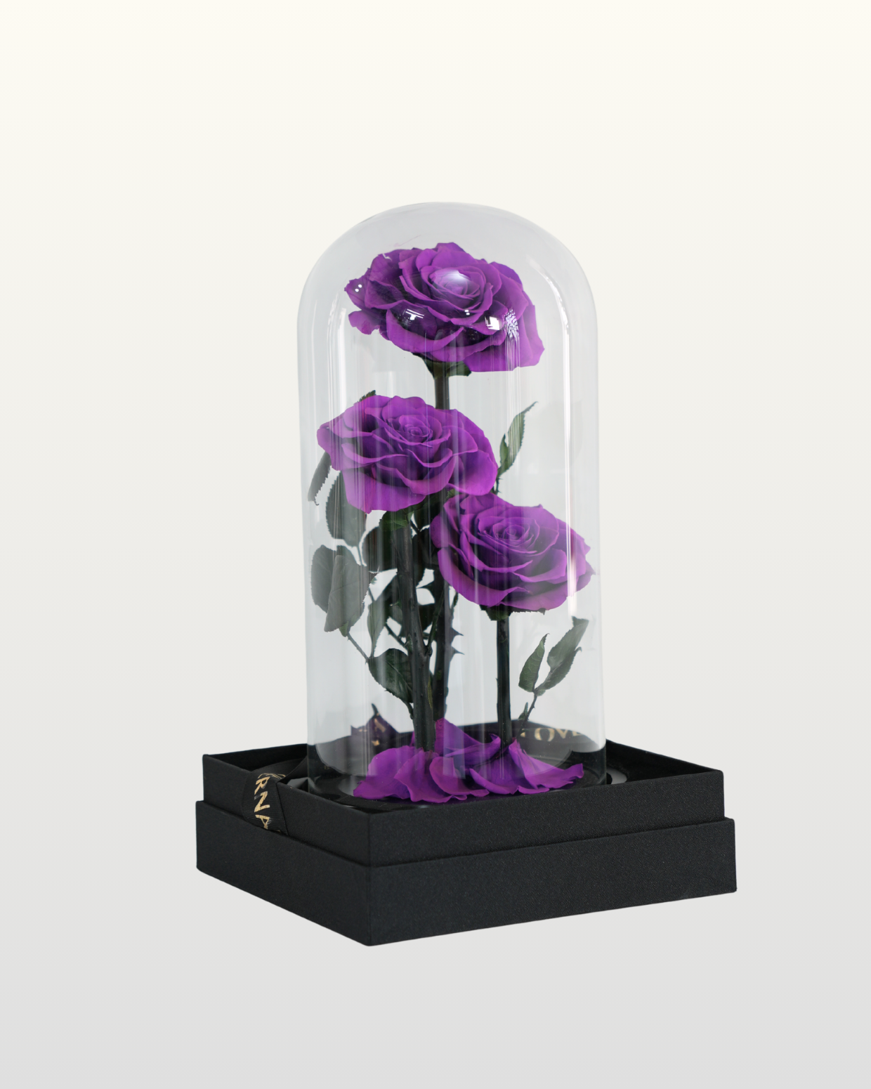 Forever Roses Purple