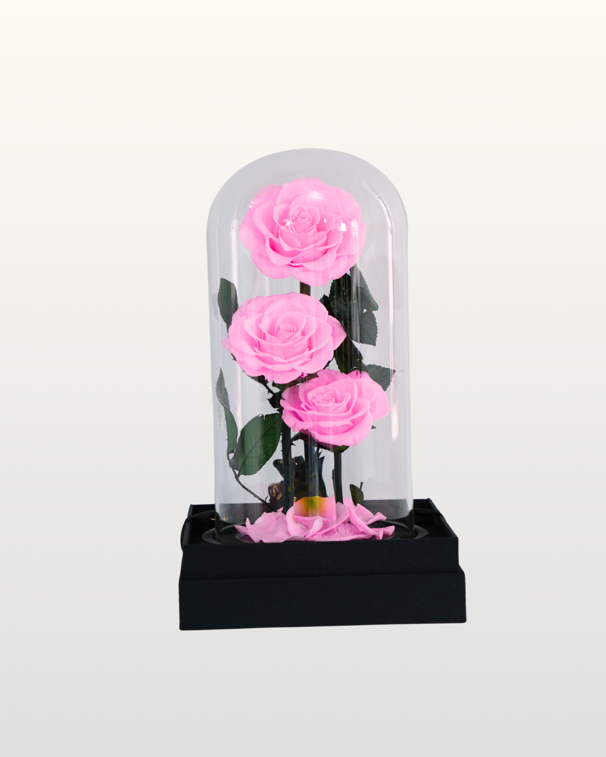 Forever Roses Pink