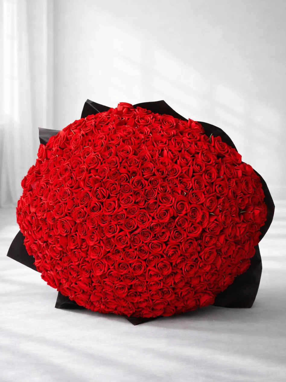 Luxury Red Rose - 365 Roses