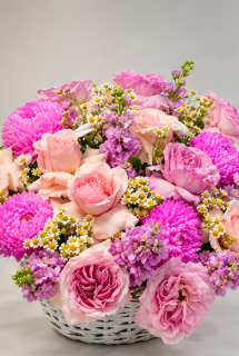 Spring Flowers