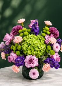 Green & Purple Symphony
