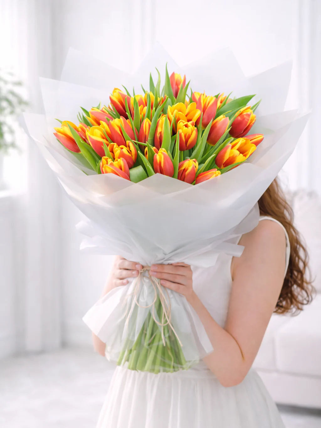 Wonderful Tulips