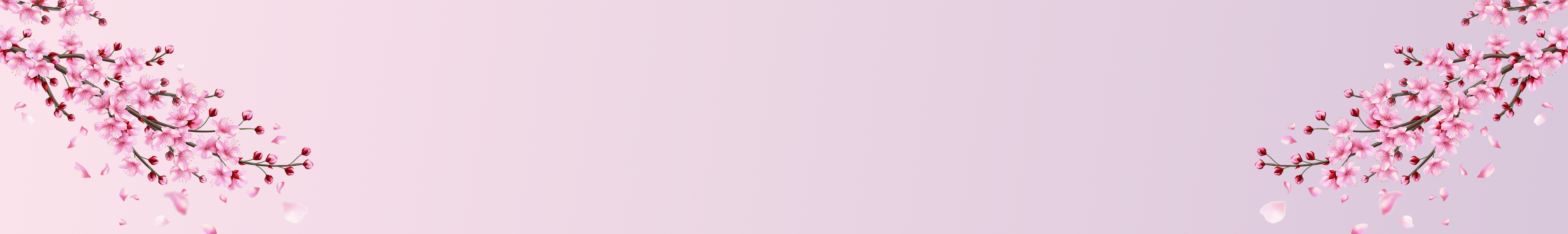collection-banner-image
